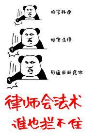 律师会法术谁也拦不住免费阅读