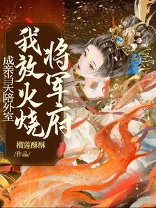 我放火烧将军府 第11章