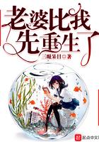 老婆重生比我早