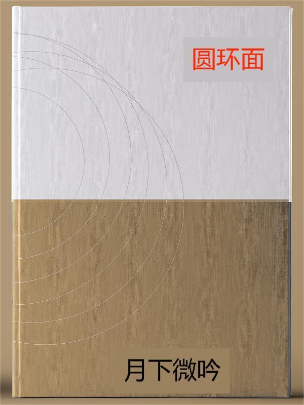 圆环面积怎么算?