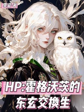霍格沃兹的转校生笔趣阁