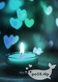 年上合集短篇1v1红枫