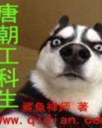 唐朝工科生百度