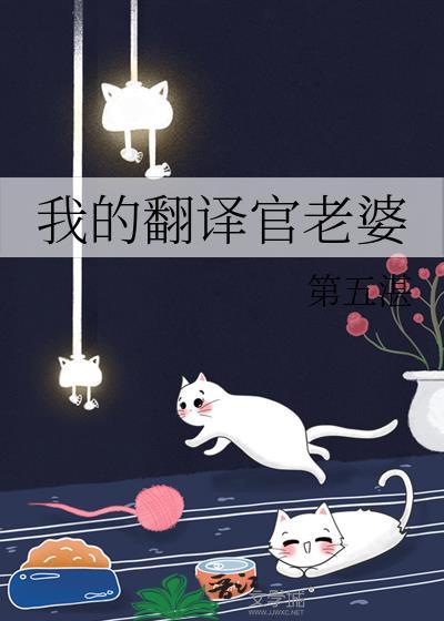 我的翻译官老婆gi百度百科