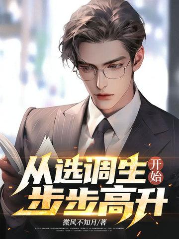 鸿图：从选调生开始平步青云