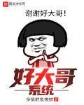 好大哥系统