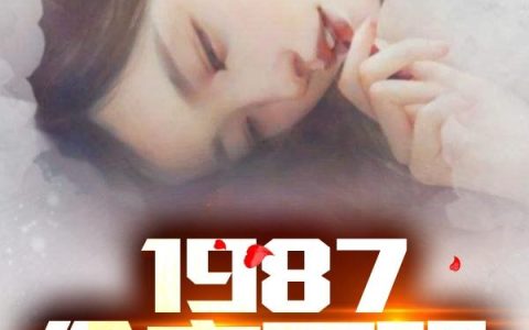 《1987：今夜不眠》主角陆浩苏敏小说免费阅读最新章节